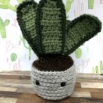 cactus amigurumi snake plant