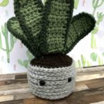 cactus amigurumi snake plant